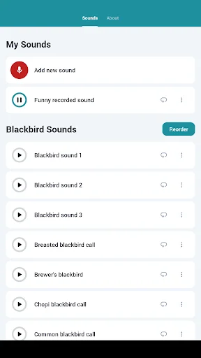 Download Blackbird Sounds Terbaru – Melodi Alam Gratis - Screenshot 11